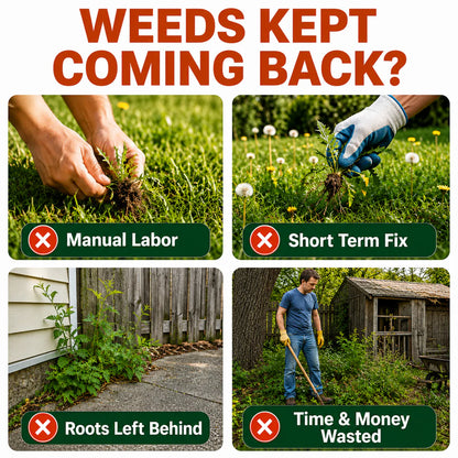 Healrize® 2-𝖎𝖓-1 Max Strength Herbicide: Fast Acting Results on Glyphosate-Resistant Weeds
